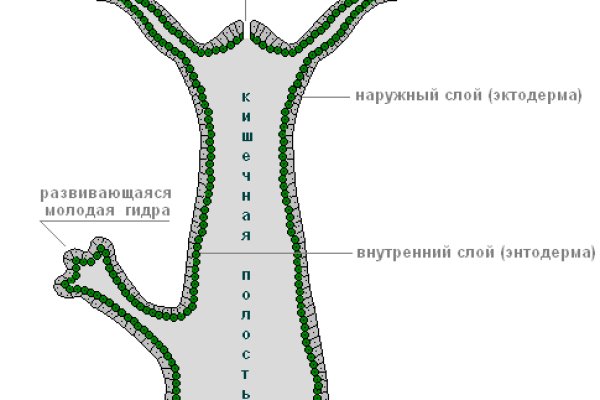 Кракен дарк сайт