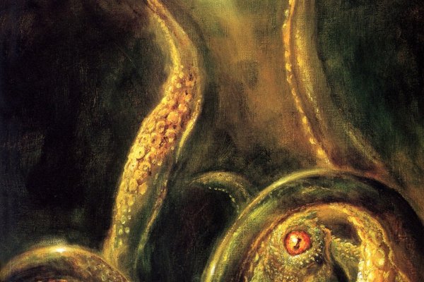 Ссылки зеркала на kraken kraken dark link