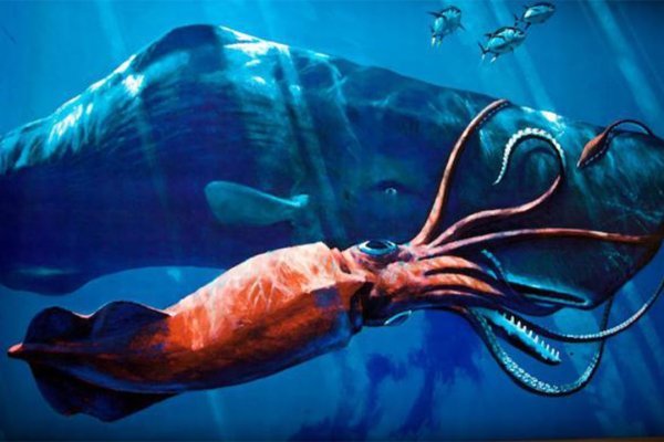 Кракен сайт магазин kraken clear com