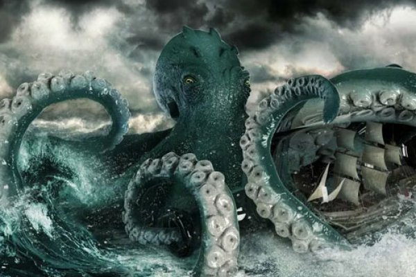 Kraken площадка