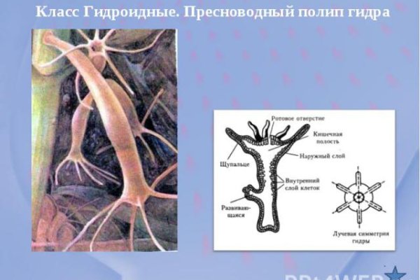 Сайты продаж наркотиков