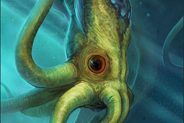 Kraken19 at