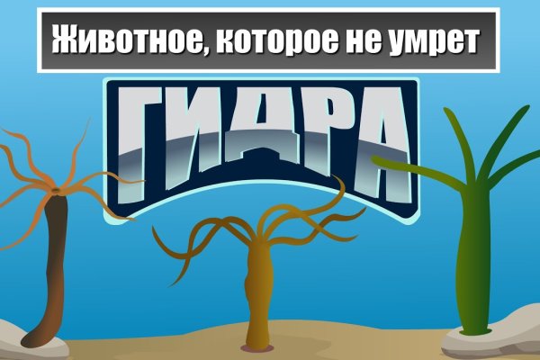 Kraken 18at зеркало