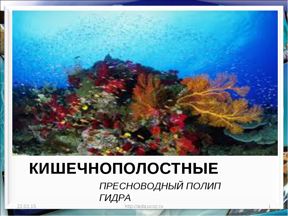 Кракен зеркало на сегодня